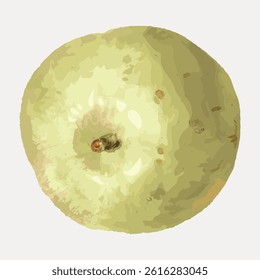 Illustration of a green apple with a textured surface. The apple is round, with a light green hue and subtle shading. Green apple illustration with texture. Vintage fruit illustration vector.