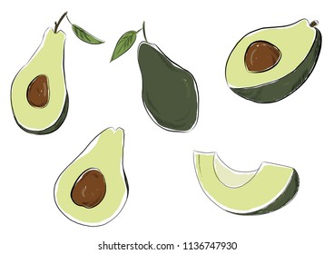 Illustration Green Avocado