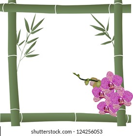 illustration with green bamboo frame and pink orchid flowers