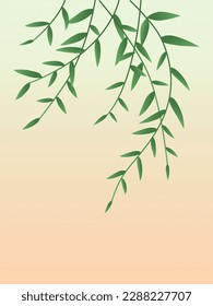 Illustration of green bamboo leaves. Spring plant elements.