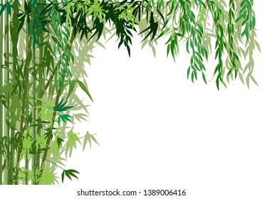 illustration with green bamboo plants