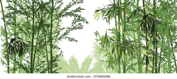 illustration with green bamboo plants