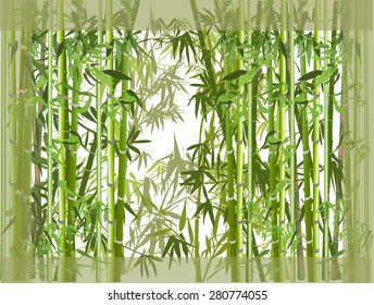 illustration with green bamboo plants