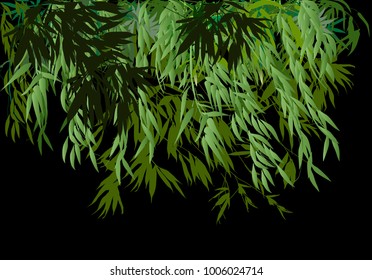illustration with green bamboo plants on black background