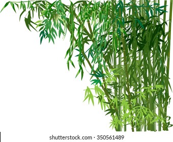 illustration with green bamboo plants on white background