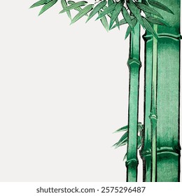 Illustration of green bamboo stalks on a white background. Bamboo design with tall, green stalks. Simple bamboo art with green and white contrast. Isolated vintage art illustration vector element.