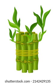 Illustration of green bamboo stems and leaves. Decorative exotic plants of tropic jungle.