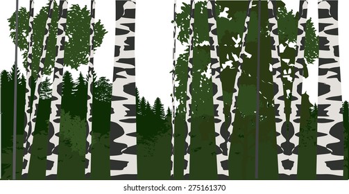 illustration with green birch forest