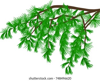 illustration with green branch isolated on white background