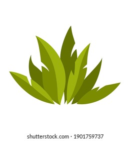 Illustration of green bush in spring. Season gardening image.