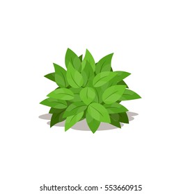 Illustration of green bush.Cartoon of decoration plants.Vector illustration.