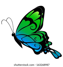 Illustration of a green butterfly on a white background 