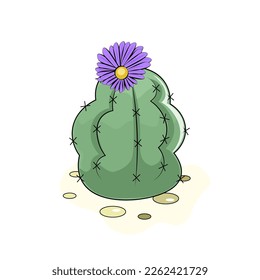 illustration of a green cactus 