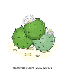 illustration of a green cactus 