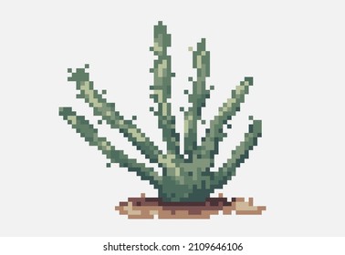Illustration of a green cactus in pixel art style