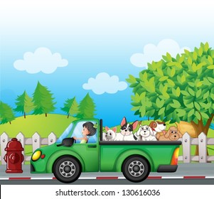 Illustration of a green car along the street with dogs at the back