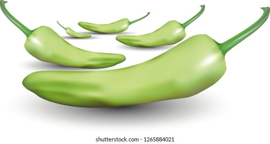 illustration with green chili pepper isolated on white background - Vector 