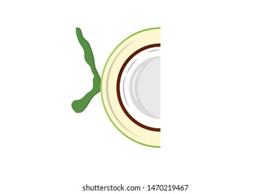 illustration of green coconut icon.