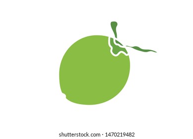illustration of green coconut icon.