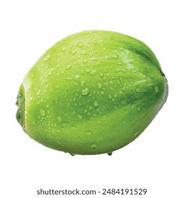 Illustration of a green coconut. Perfect for tropical, natural food, and beverage-themed designs