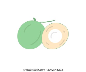 illustration of green coconut and split green coconut. fruit and food. vector design. element, ui, icon, sticker