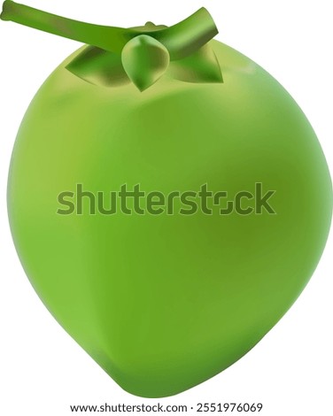 illustration of green coconut vector design on a white background