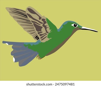 
ilustración de un pájaro colibri verde con una cola azul volando en busca de comida