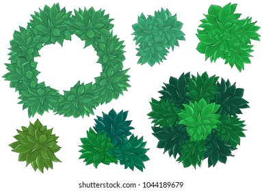 Illustration green composition echeveria and frame for text
