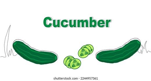 illustration of green cucumber can be used for graphic work