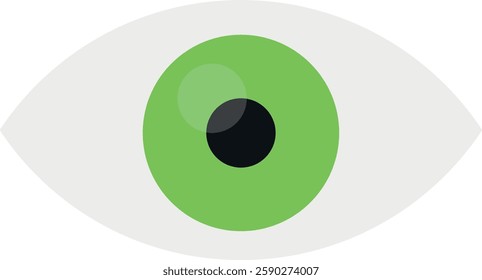 Illustration of a green eye with a black pupil and light reflection, representing vision, observation, or surveillance