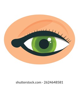 Illustration of a green eye with perfectly applied black eyeliner and long eyelashes