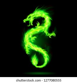 Illustration of Green Fire Dragon Symbol of Wisdom and Power on Black