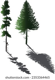 illustration with green firs isolated on white background