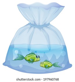Illustration of the green fishes inside the plastic pouch on a white background