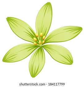 Illustration of a green flower on a white background