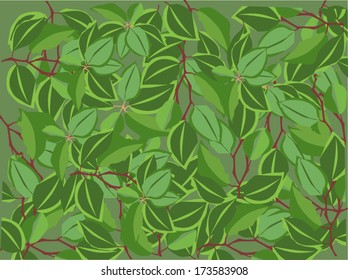 ilustración con fondo foliage verde