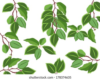 illustration with green foliage isolated on white background