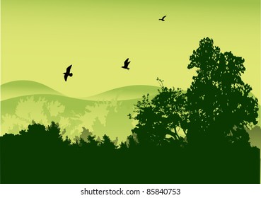 illustration with green forest and birds in sky