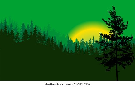 illustration with green forest and black tree