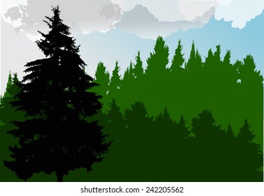 illustration with green forest and cloud sky