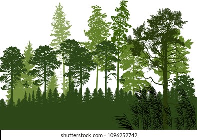 illustration with green forest isolated on white background