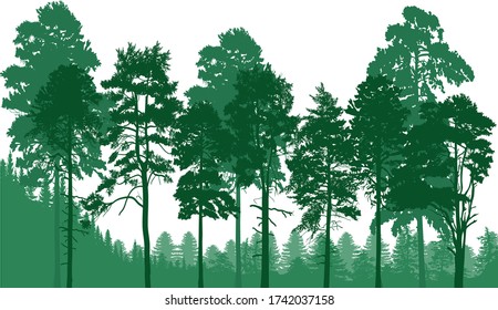 illustration with green forest isolated on white background