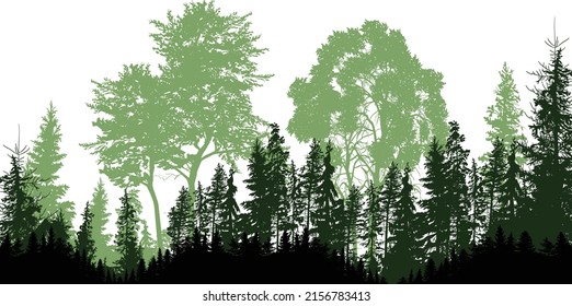 illustration with green forest isolated on white background