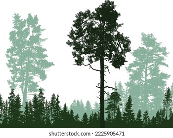 illustration with green forest isolated on white background