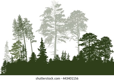illustration with green forest isolated on white background
