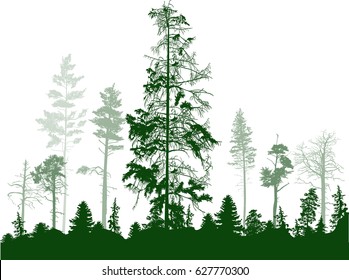 illustration with green forest isolated on white background