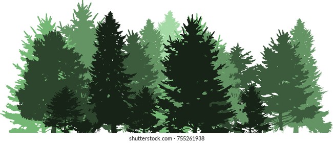 Beautiful Greenery Leaf Forestnature Background Ideas Stock Photo ...