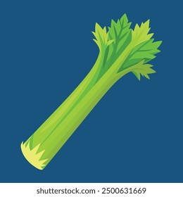 illustration of Green fresh celery vegetable