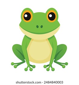 Illustration of green frog animal