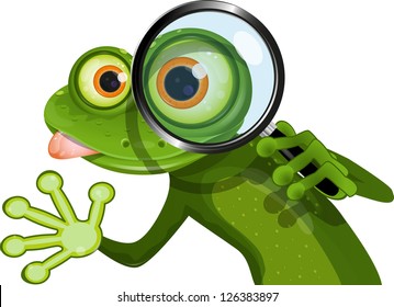 illustration green frog with big eyes and a magnifying glass